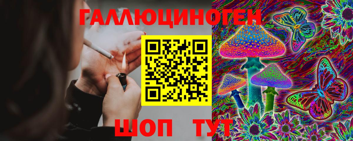 Галлюциногенные грибы Psilocybe  Вход с VPN  Королёв 