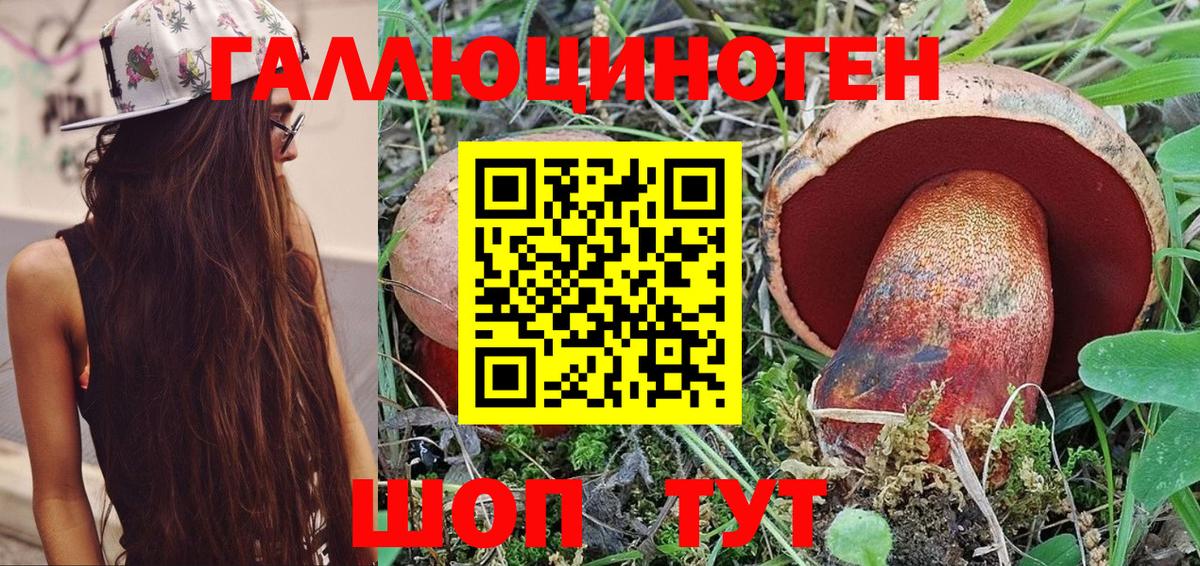 Псилоцибиновые грибы мицелий Королёв