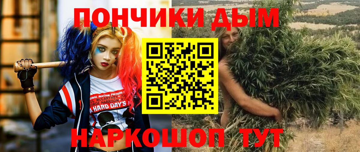 Шишки марихуана марихуана Королёв